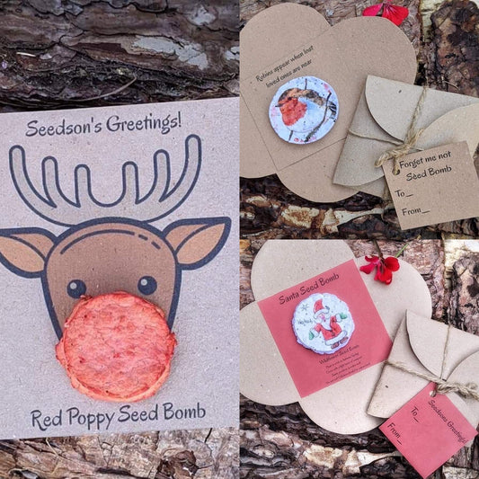 Festive Seedbombs 🎄 🐝 💚 🐝 🎄