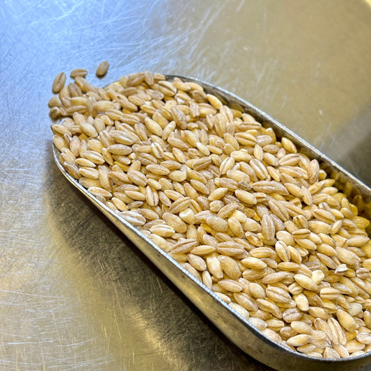 Pearl Barley