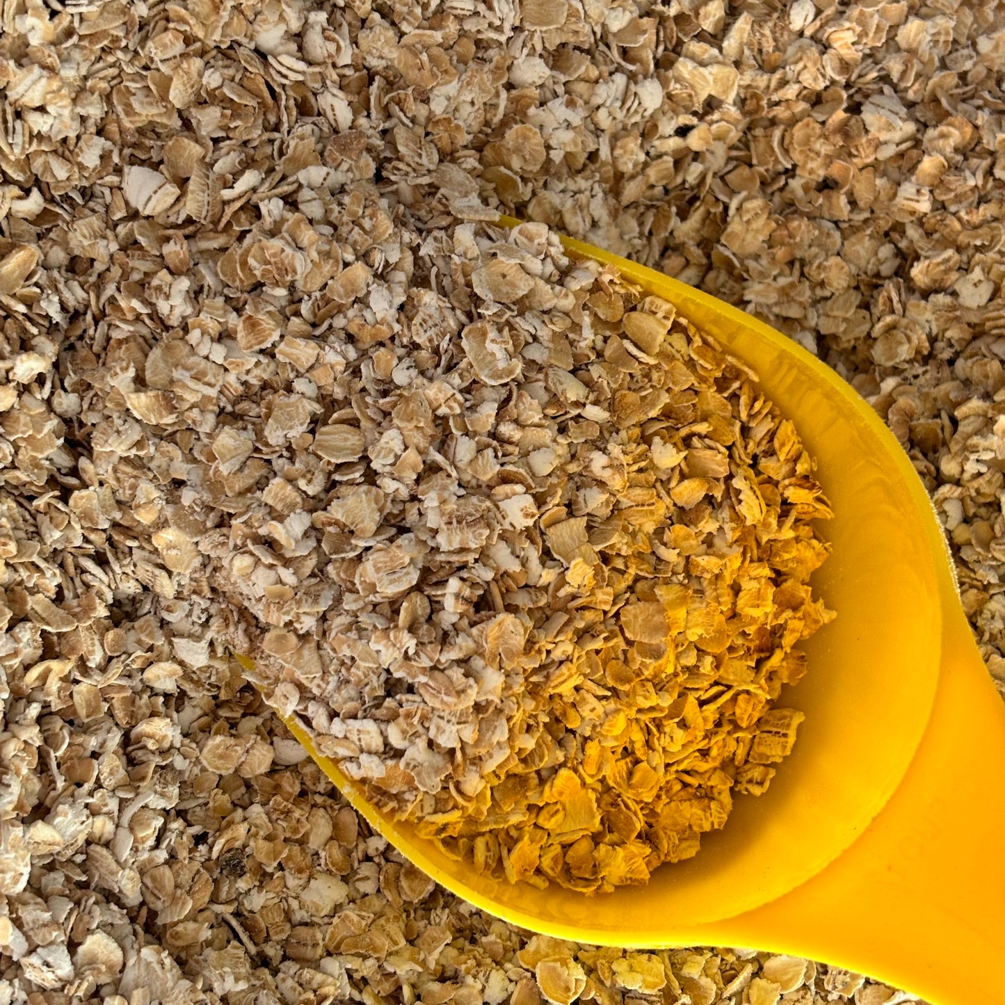 Gluten Free Organic Porridge Oats