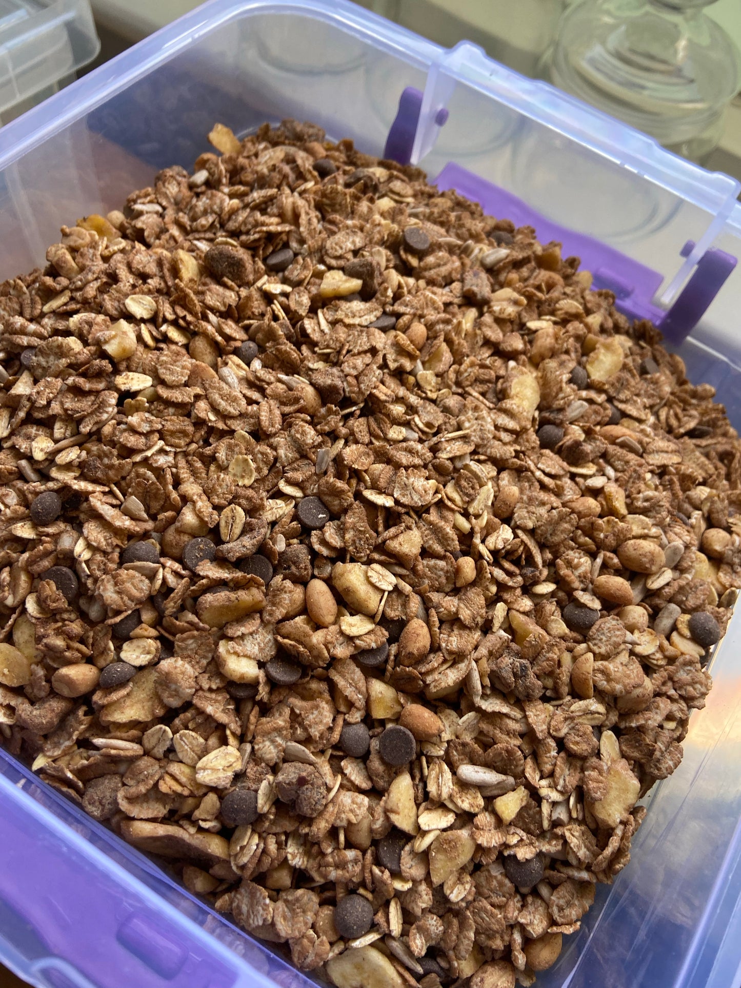 Organic Chocolatey Crunch Bunch (Vegan)
