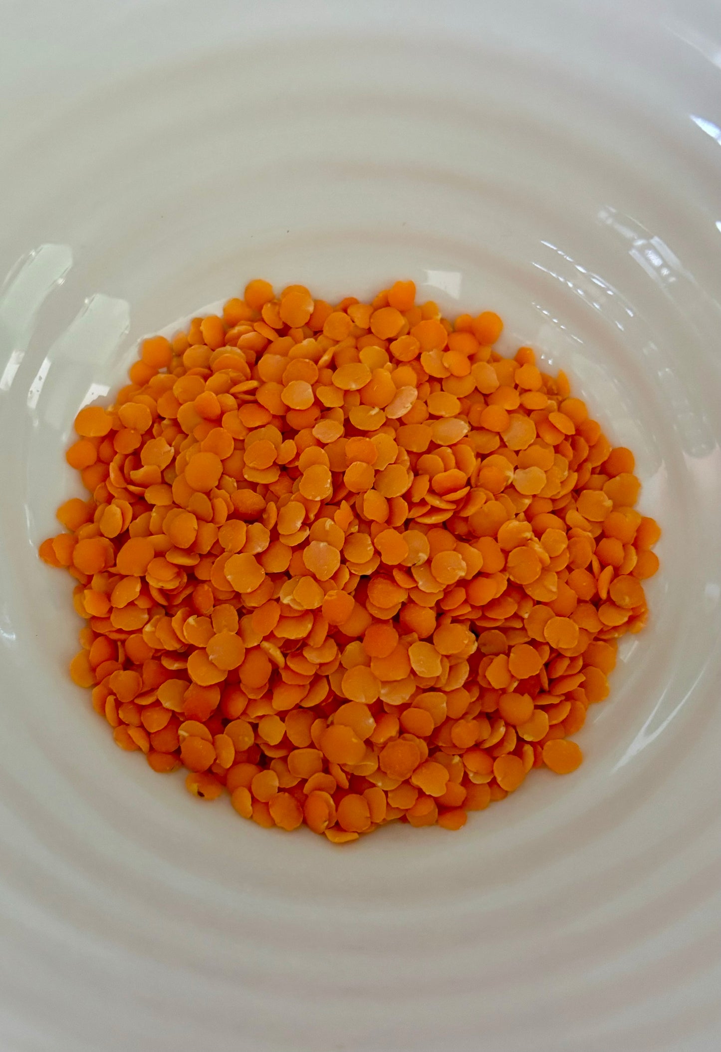 Split Red Lentils