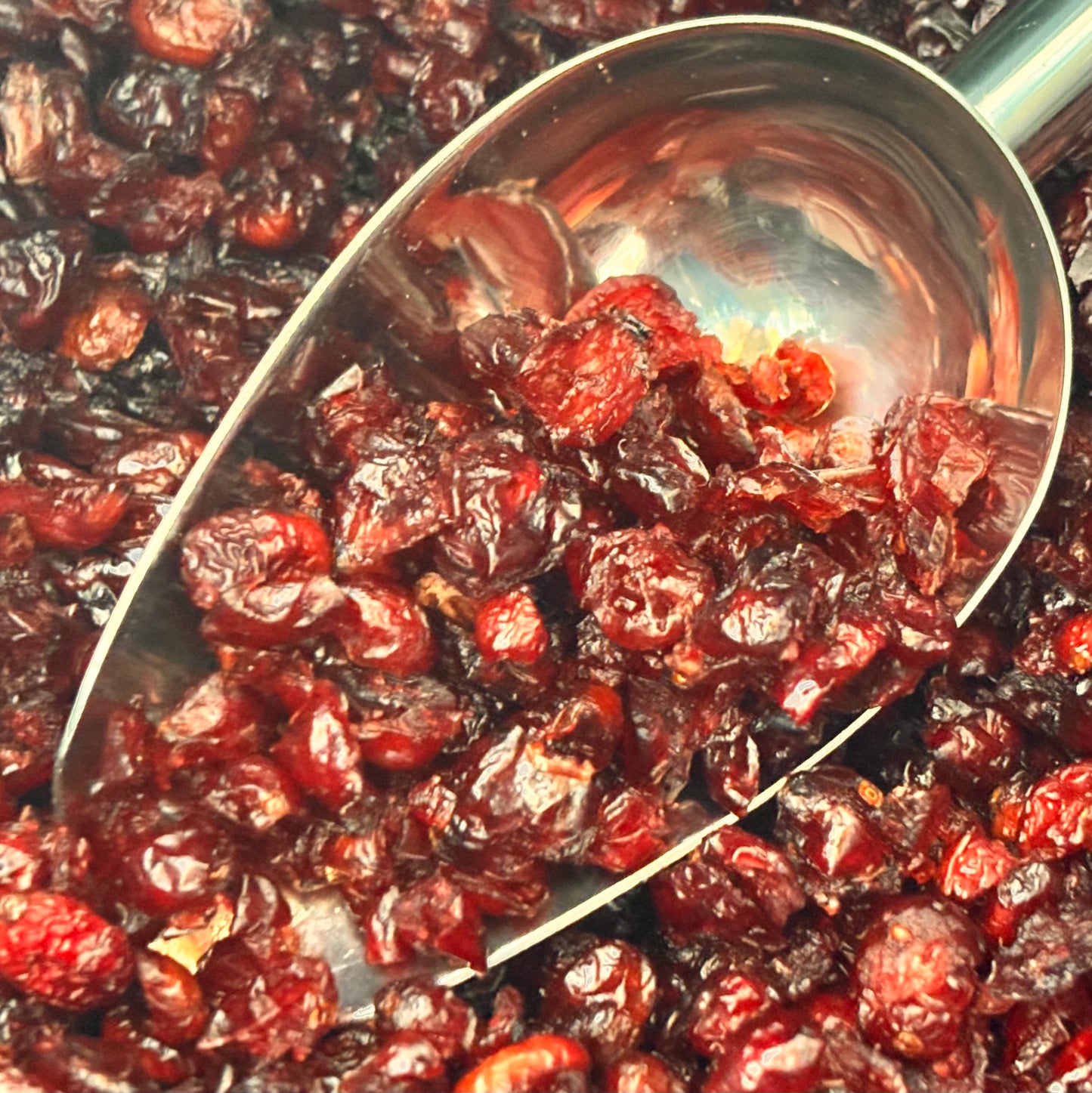 Dried Cranberries